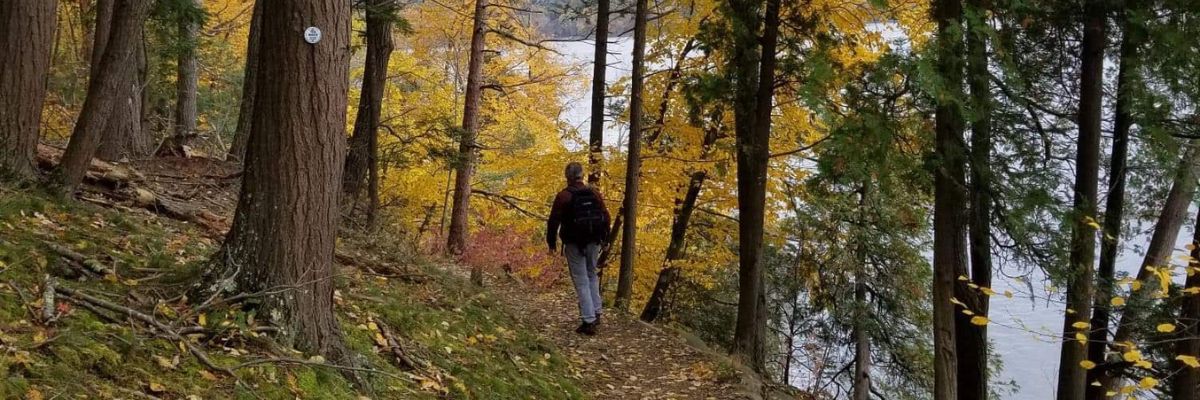 A man walks through the woods with autumn leaves